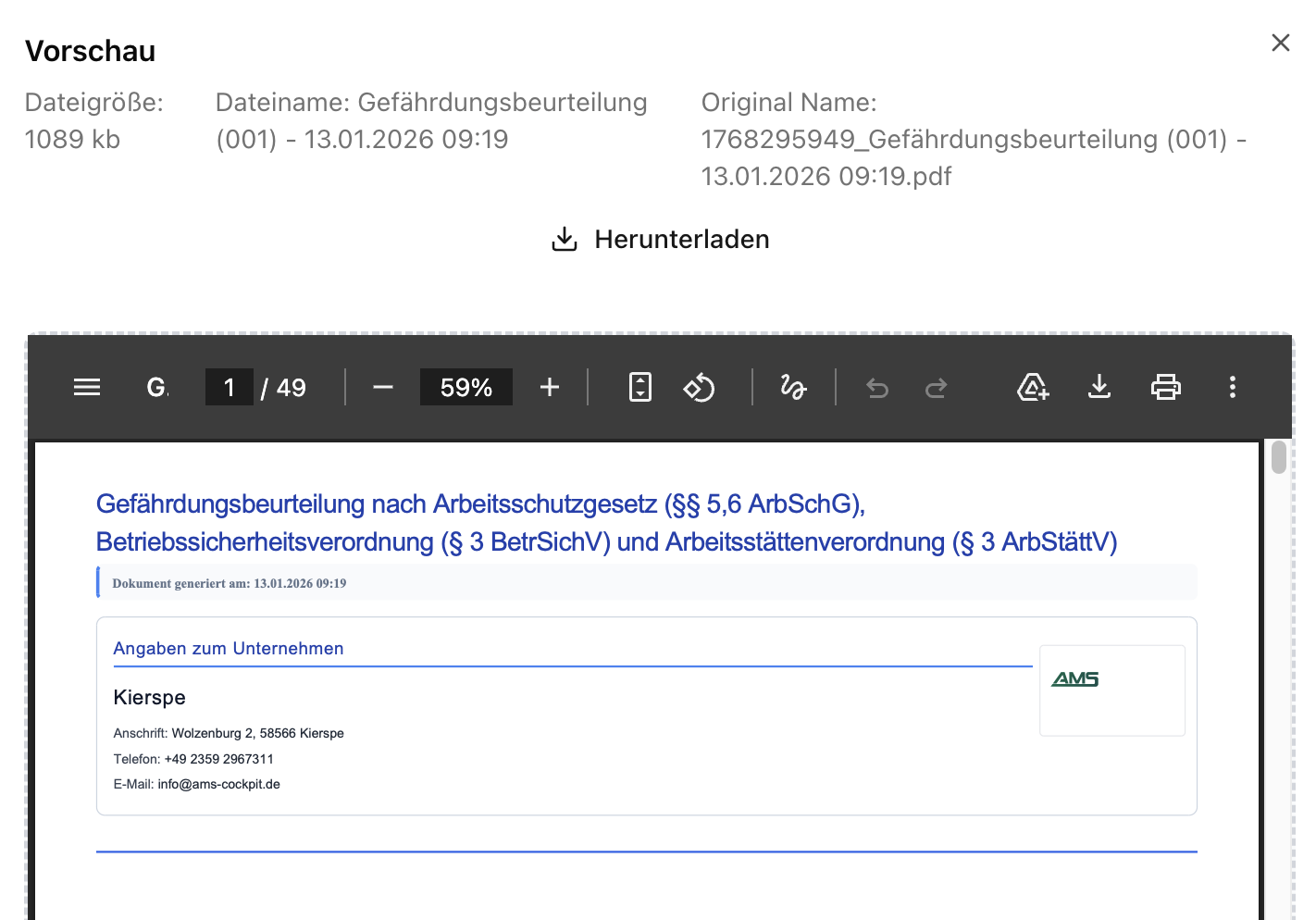 Revision Vorschau